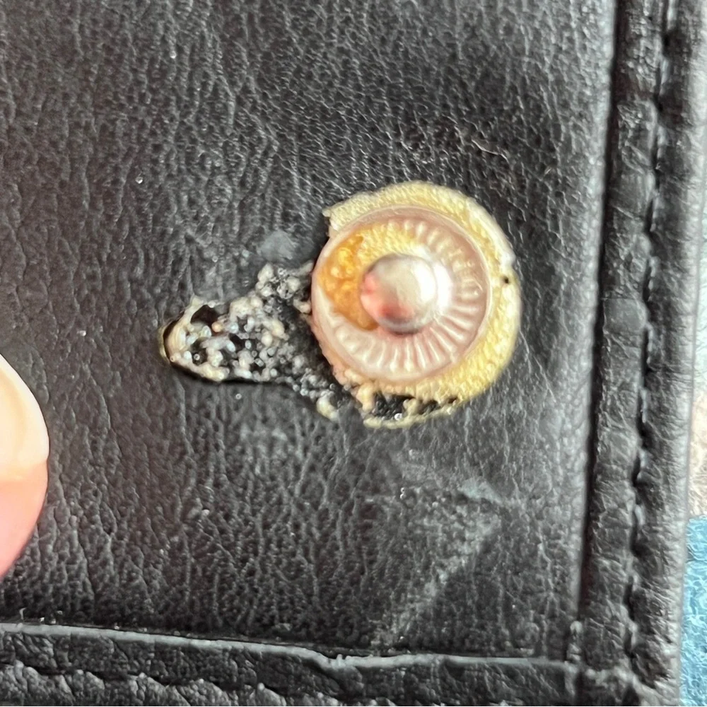 Fossil Black Leather key chain Holder